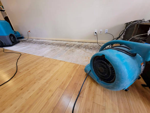 Professional Ceiling Water Damage Repair technician working in Cypress, CA